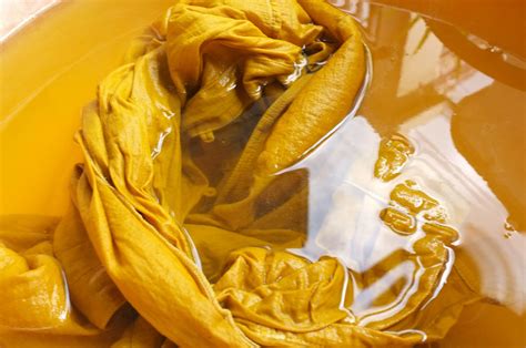 5 Poly Cotton Advantages and Disadvantages You Need to Know .